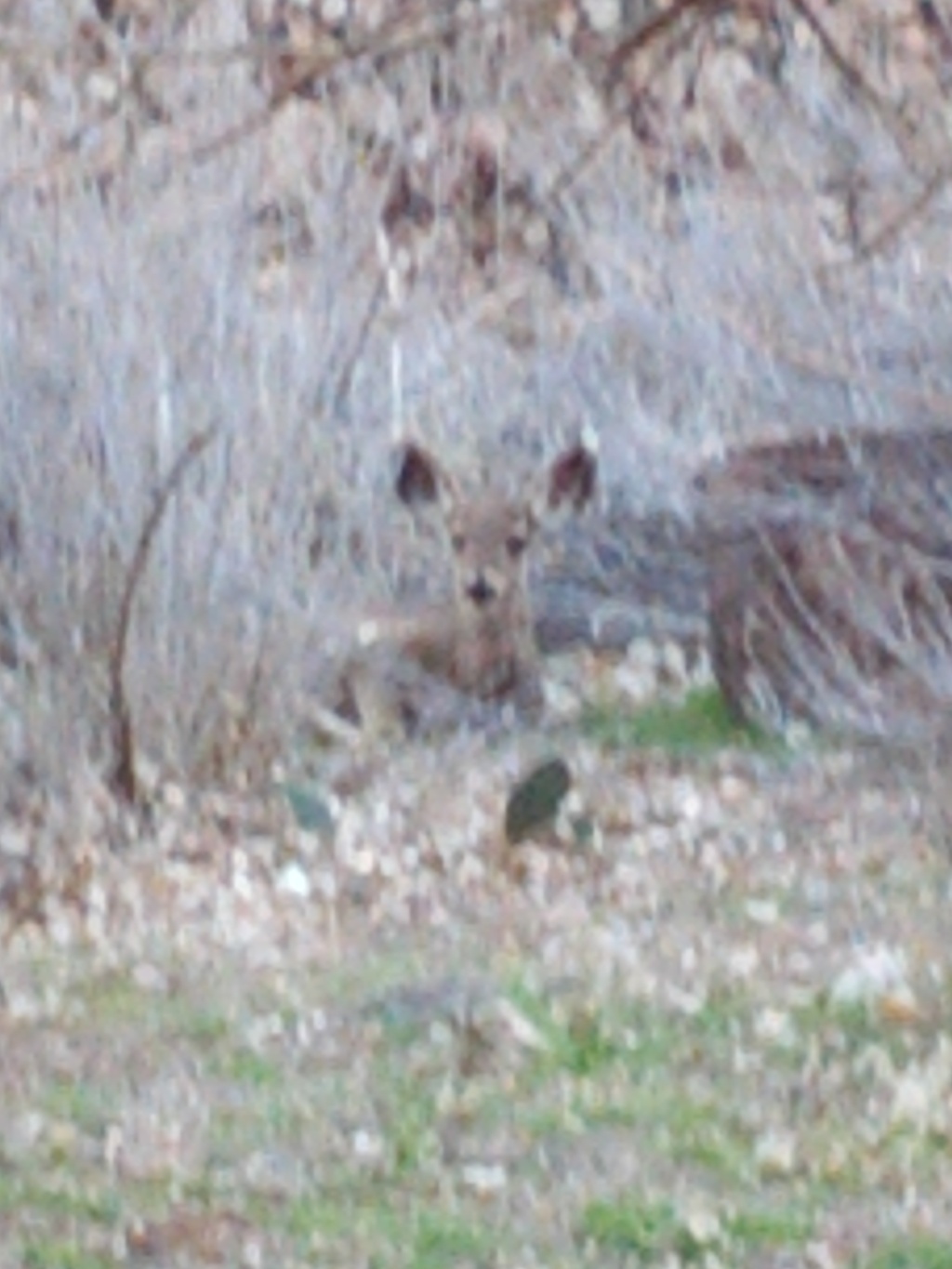 IMG_20130316_165000.jpg
